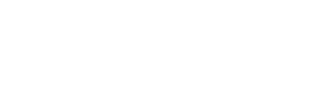 GRUPO NAPOLEON LOGO